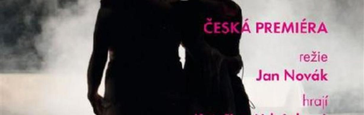 Uklizený dům