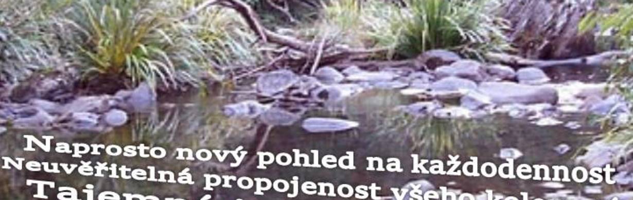 MEDITAČNÍ SEMINÁŘ: MYSTICKÁ CESTA  - ve Vile Čerych