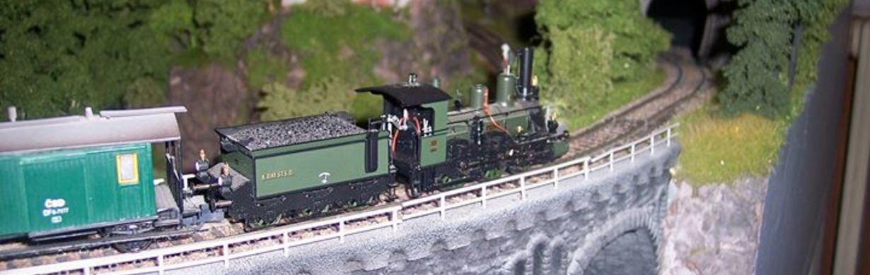 DEN OTEVŘENÝCH DVEŘÍ MODELÁŘSKÉHO CENTRA - v klubovně zahrádkářů v České Skalici
