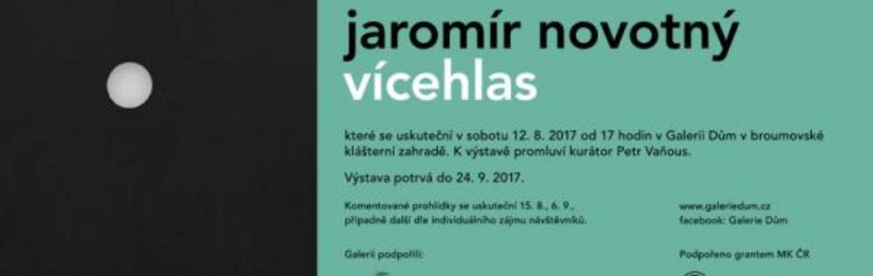 Jaromír Novotný - VÍCEHLAS