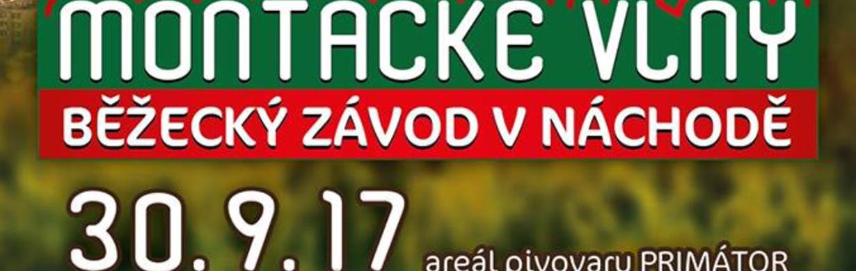 Montacké vlny