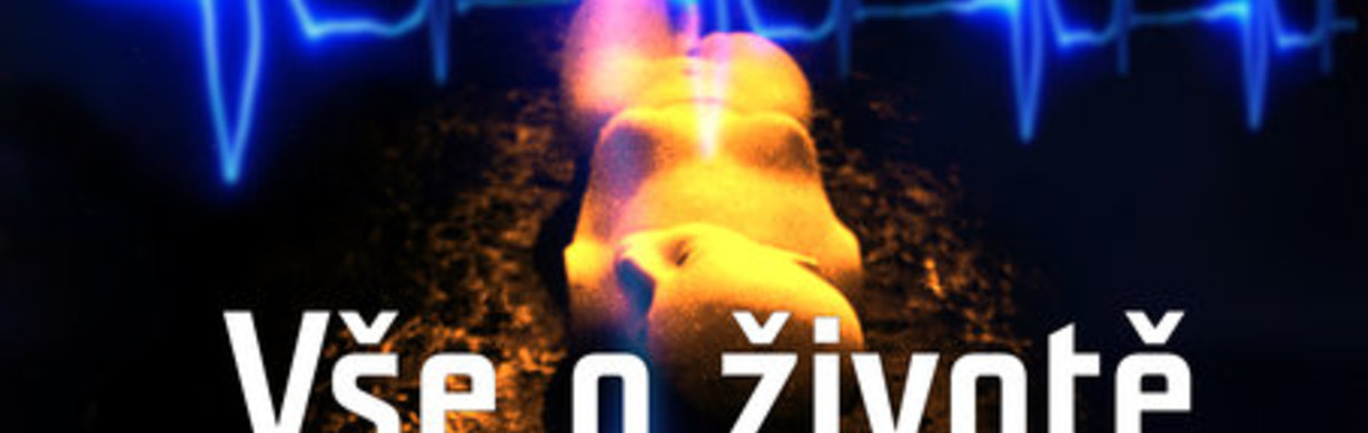 VŠE O ŽIVOTĚ PO ŽIVOTĚ