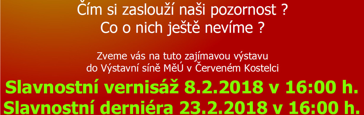 Výstava