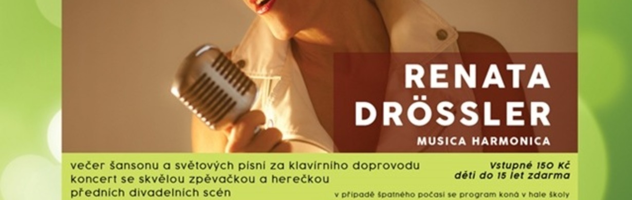 Koncerty pod stromem 3