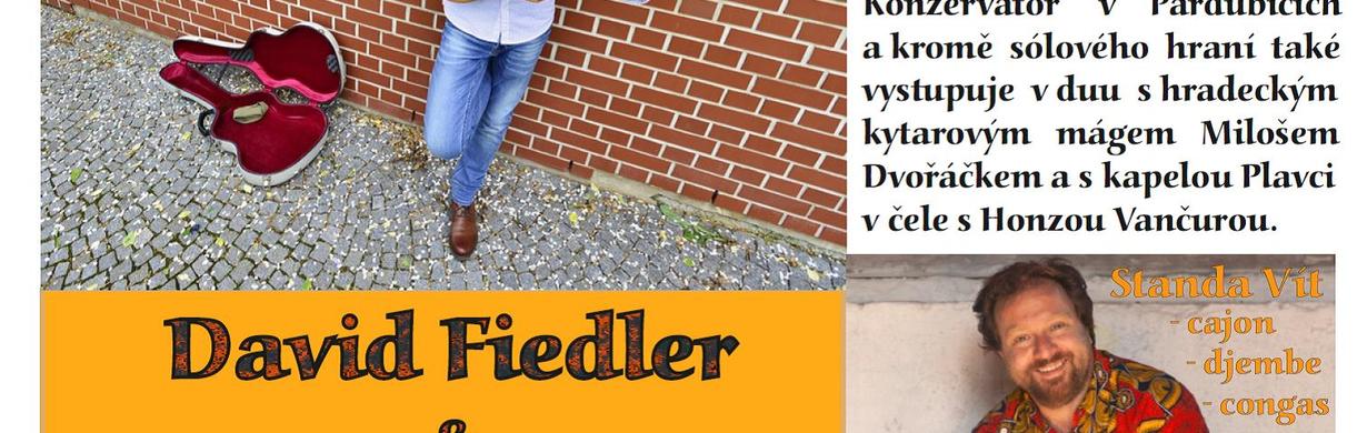 BLUES-JAZZOVÉ VEČERY - DAVID FIEDLER & STANDA VÍT