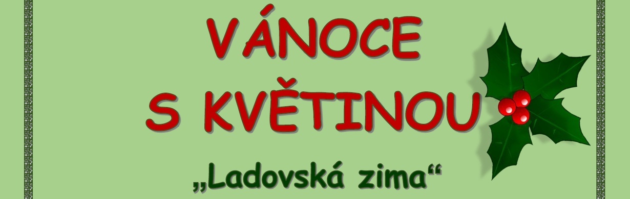 Vánoce s květinou - Ladovská zima