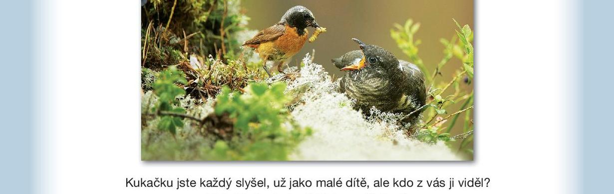 Takoví normální zabijáci