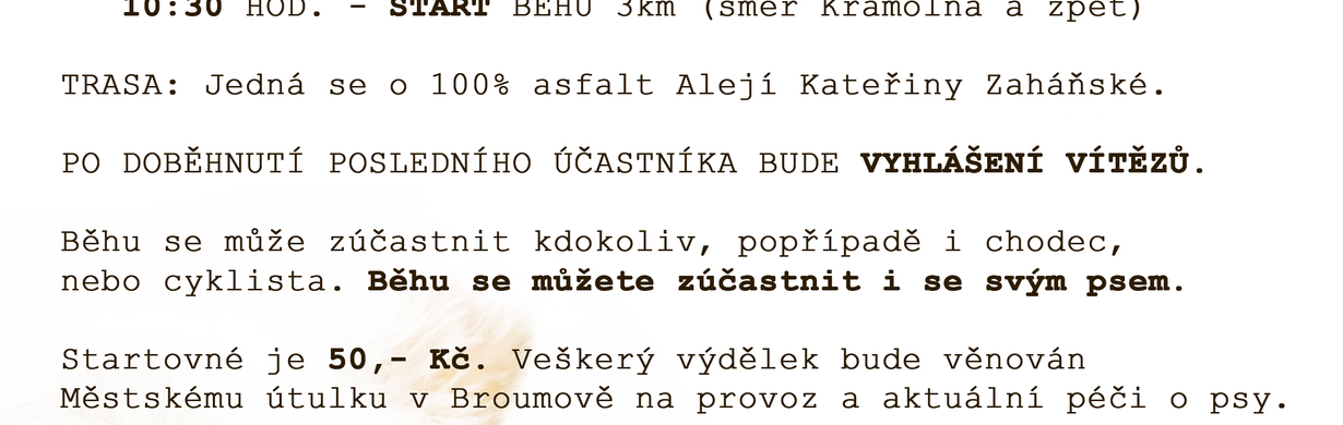 Dobročinný běh
