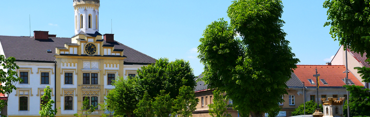 ARCHITEKTURA ČESKÉ SKALICE