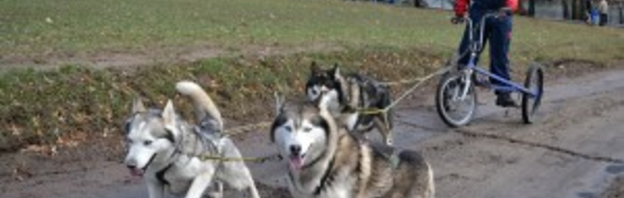 JARNÍ JÍZDA MUSHER CLUBU MC METUJE