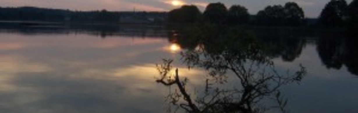 SHAMAN CARP CUP BRODSKÝ 2022