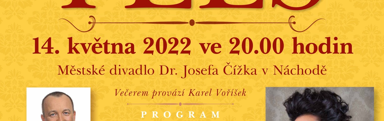 Reprezentační ples