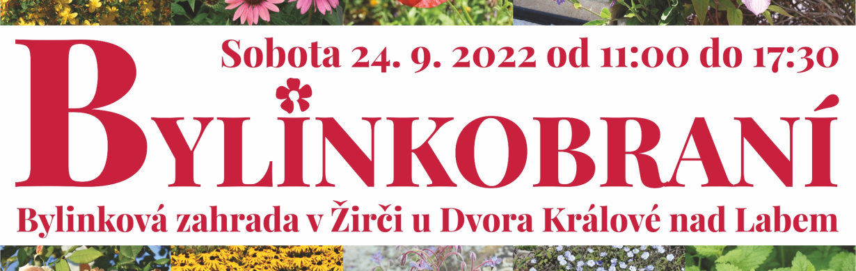 BYLINKOBRANÍ V ŽIRČI