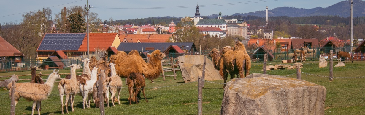 ZÁBAVNÁ STEZKA SE ZVÍŘÁTKY NA FARMĚ WENET