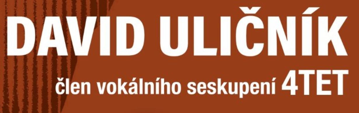 DAVID ULIČNÍK - DIALOGY S KRYLEM