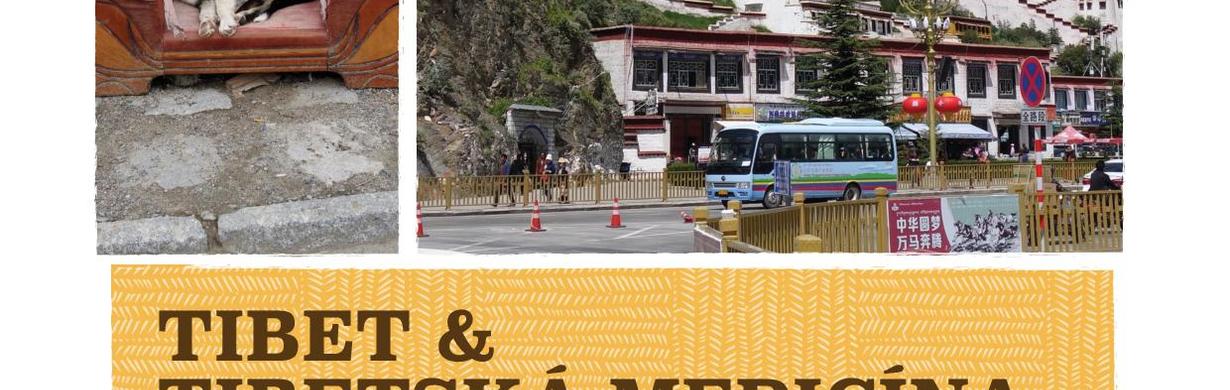 TIBET A TIBETSKÁ MEDICÍNA