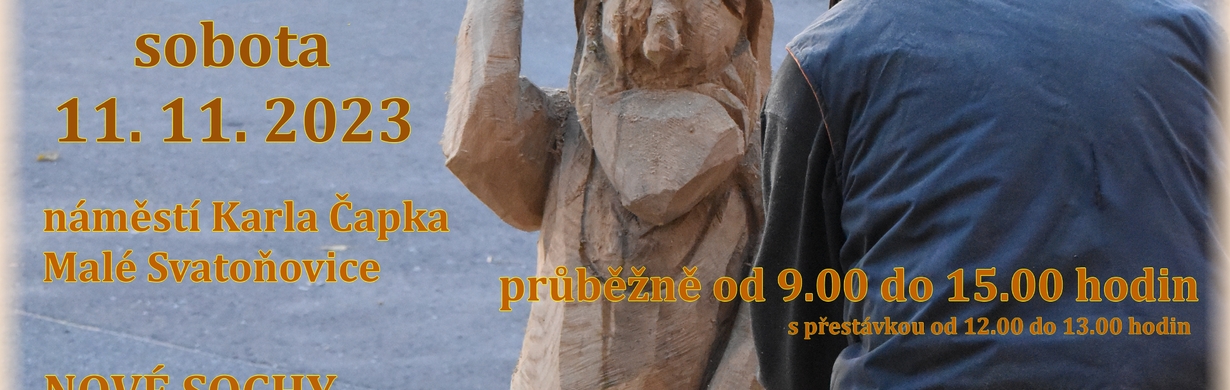 DŘEVOSOCHÁNÍ MOTOROVOU PILOU