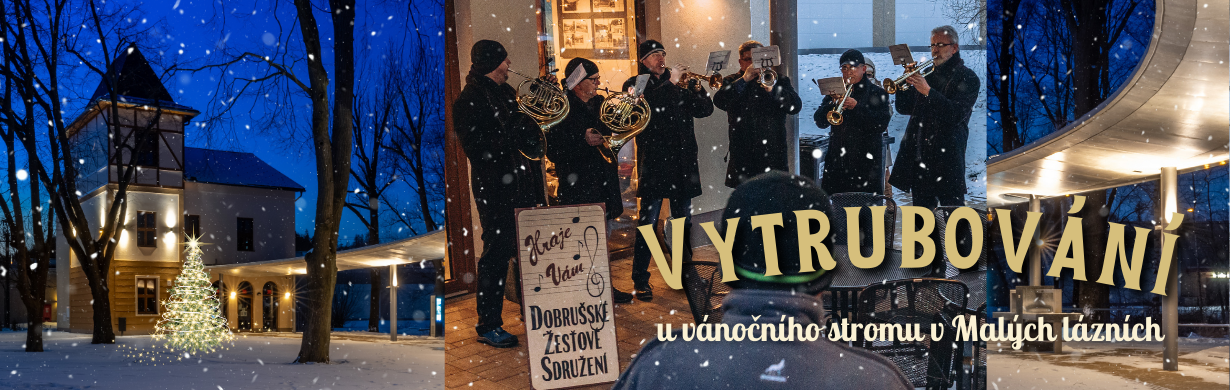 VYTRUBOVÁNÍ U VÁNOČNÍHO STROMU V MALÝCH LÁZNÍCH