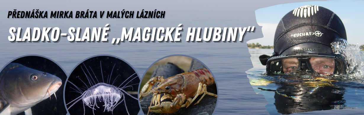 Mirek Brát: SLADKO-SLANÉ „MAGICKÉ HLUBINY“