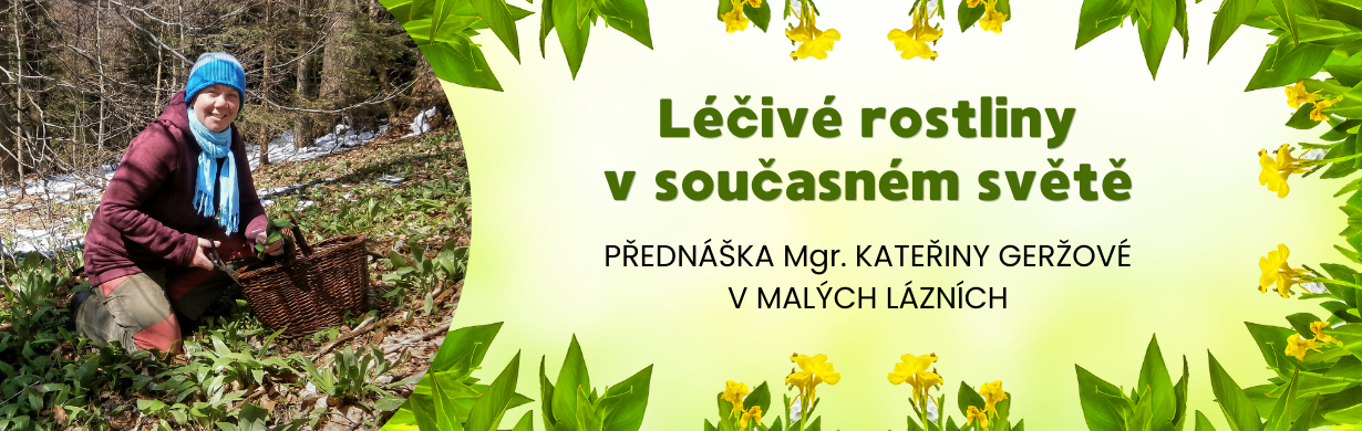 LÉČIVÉ ROSTLINY V SOUČASNÉM SVĚTĚ
