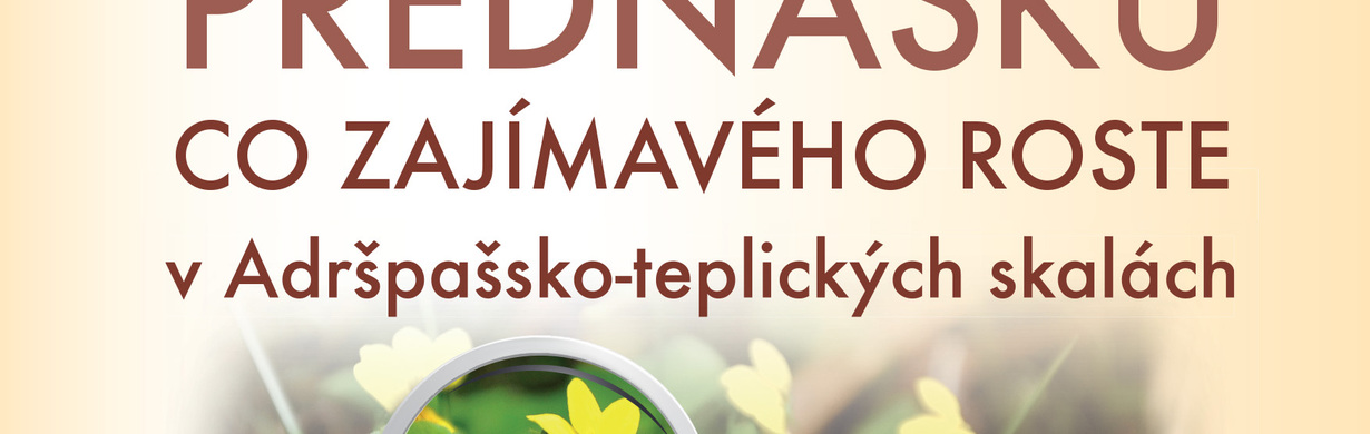 Co zajímavého roste v Adršpašsko-teplických skalách