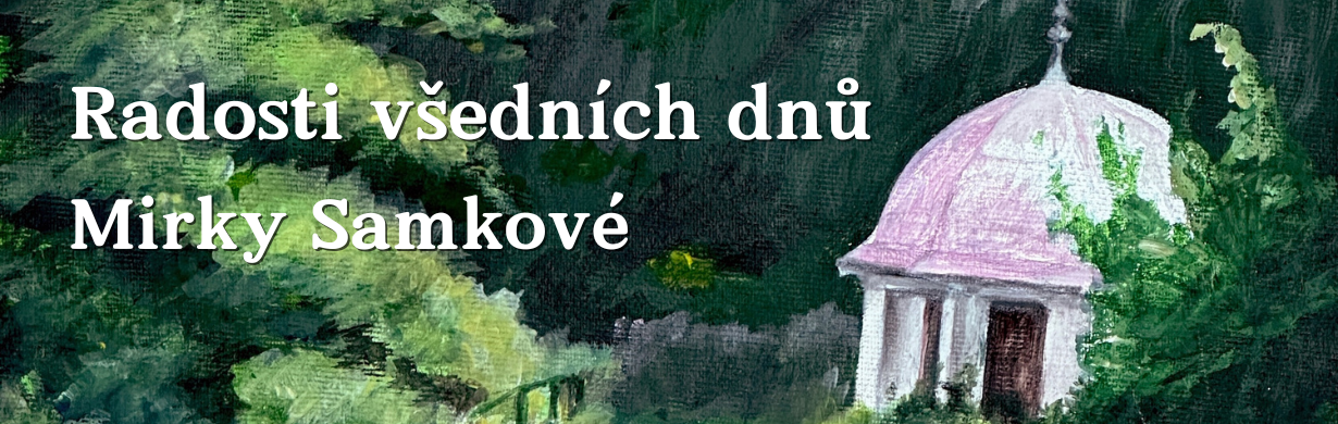 Radosti všedních dnů Mirky Samkové