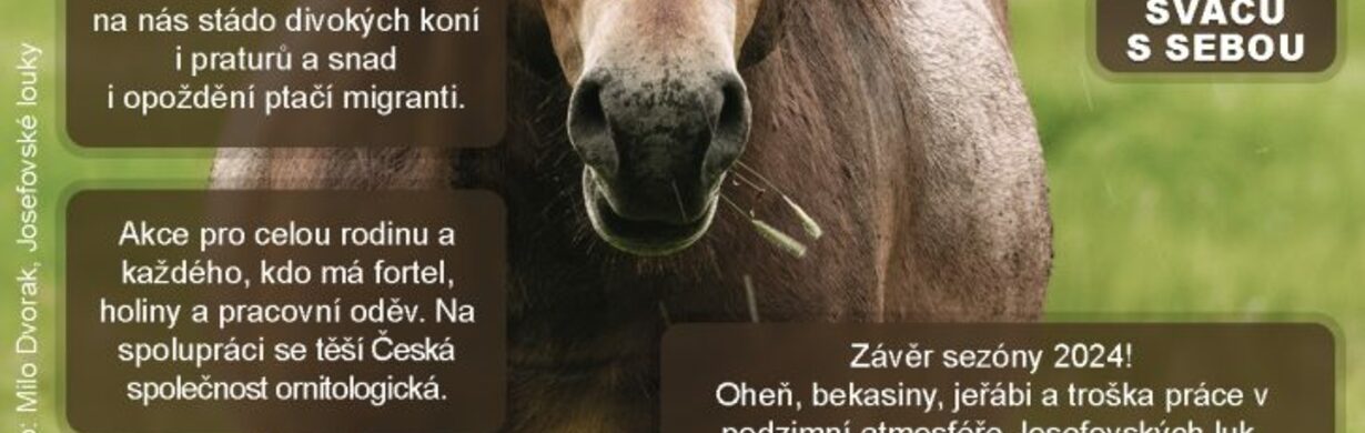 Zazimování ptačího parku