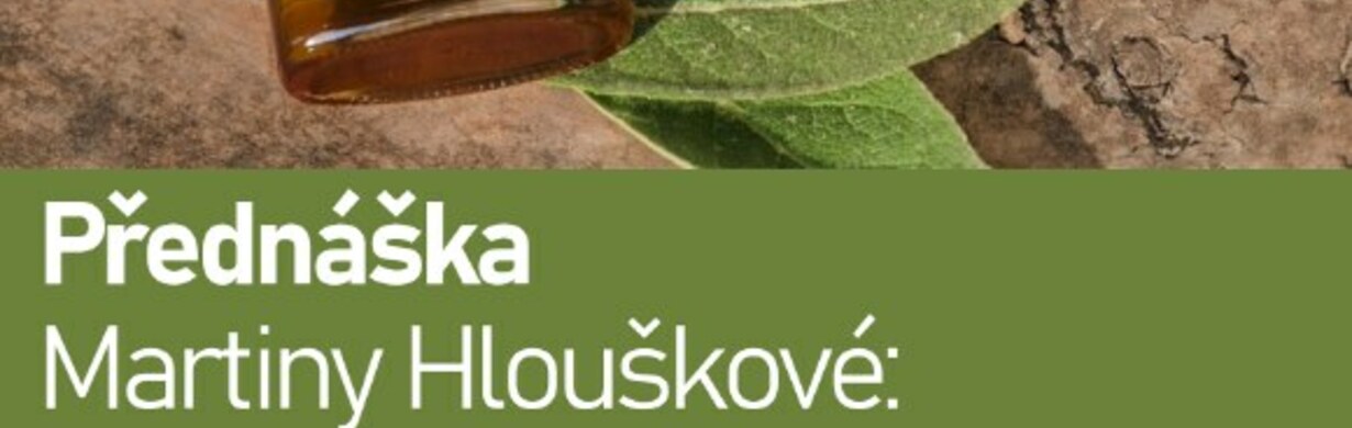 PŘEDNÁŠKA MARTINY HLOUŠKOVÉ: BYLINKY NÁS LÉČÍ