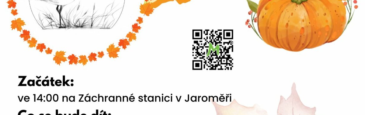 Podzimní dýňování