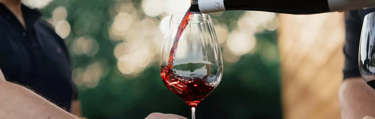 MARTINSKÉ SLAVNOSTI - RTYNĚ V PODKRKONOŠÍ MARTINSKÉ SLAVNOSTI - RTYNĚ V PODKRKONOŠÍ