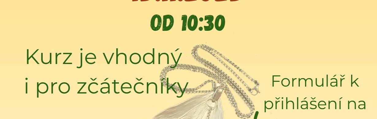 Kurz galvanoplastiky šperků Kurz galvanoplastiky šperků