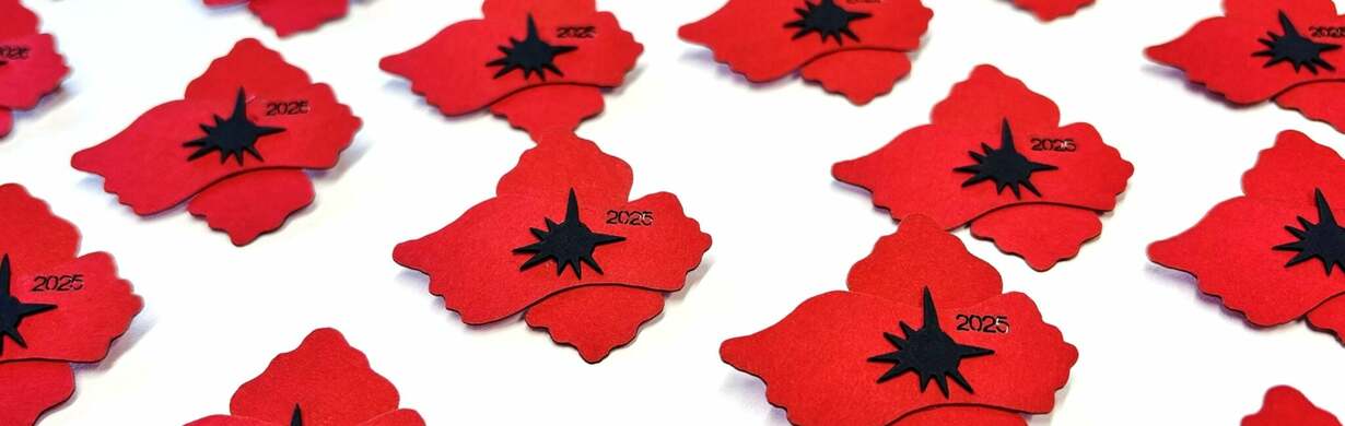 Den válečných veteránů v Náchodě