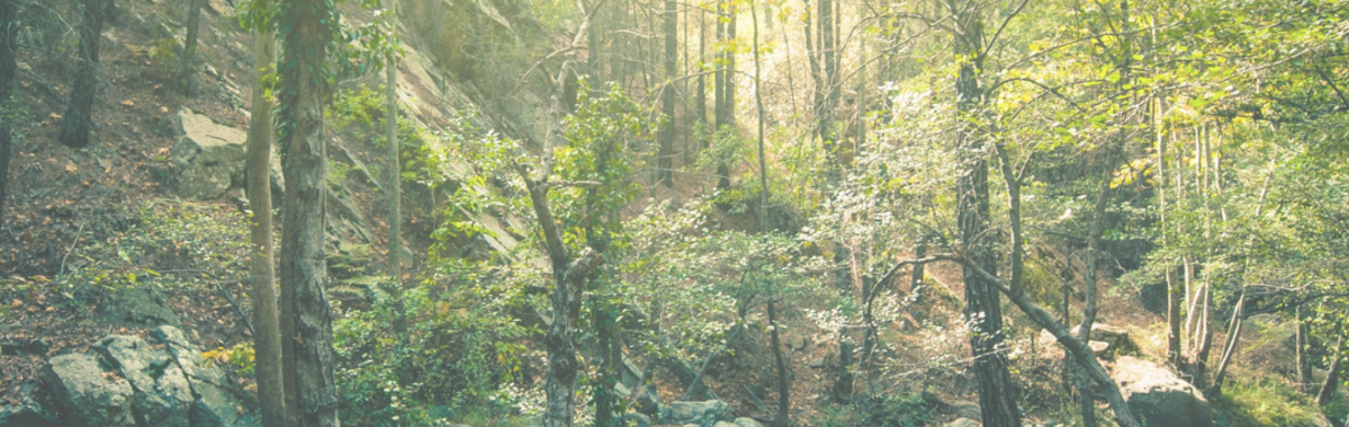 Kdy jste je viděli naposledy?