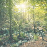 Kdy jste je viděli naposledy?