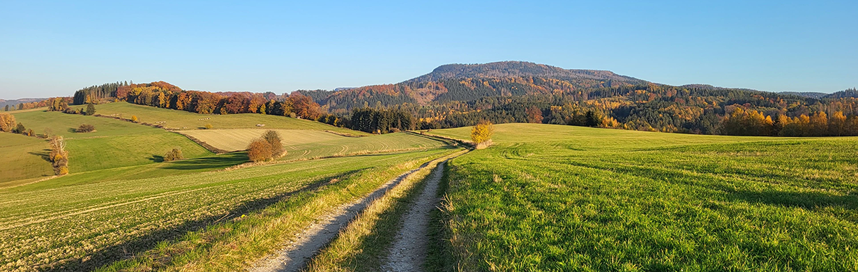 Hora Bor: Dominanta Kladského pomezí