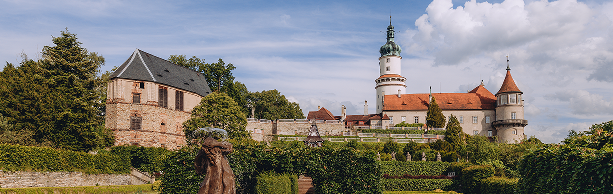 Food Art Festival 2026