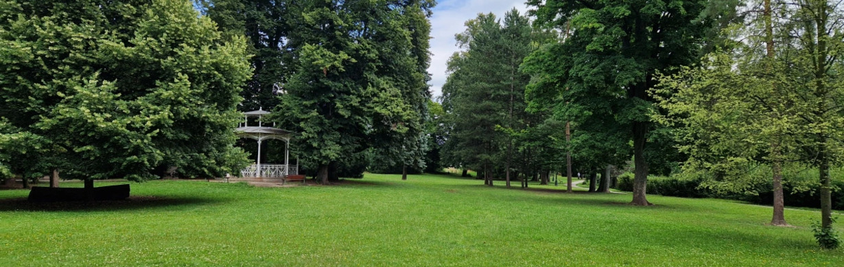 Piknik v trávě