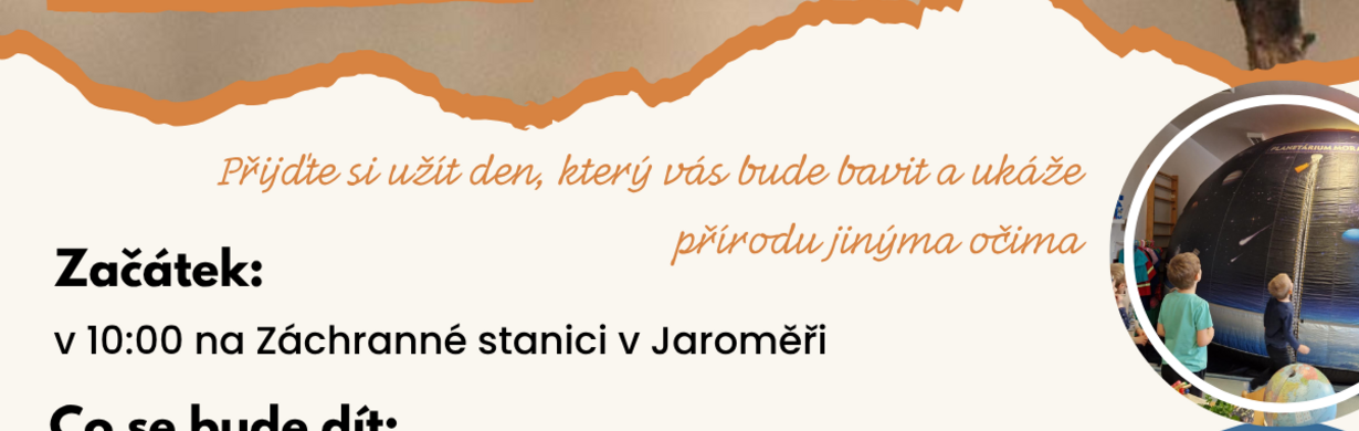 Motýlí půlhodinka - skrytý svět přírody