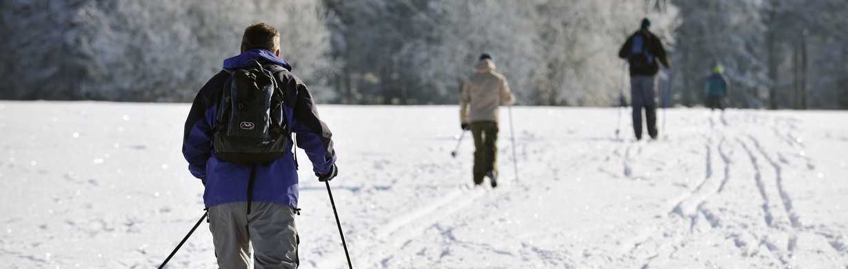 Aktuální sněhové zpravodajství Machov 16.1.2016