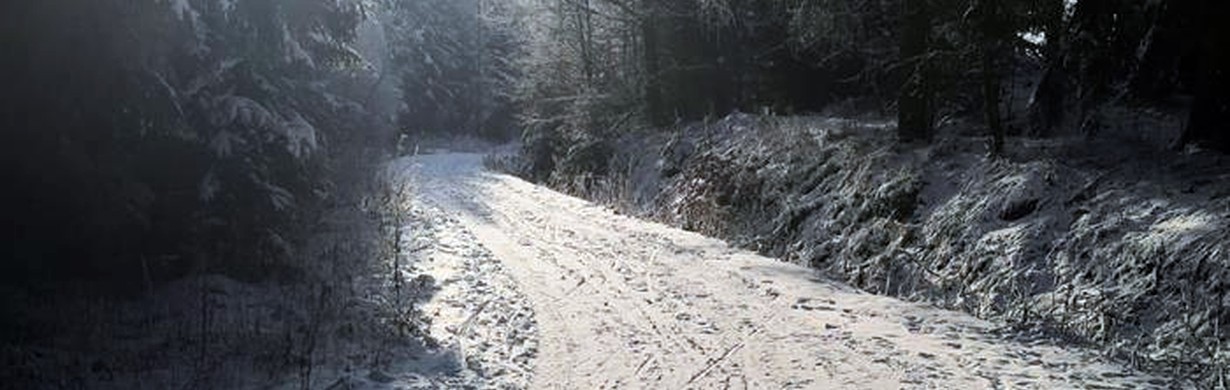 Úterní sněhové zpravodajství z Jestřebích hor