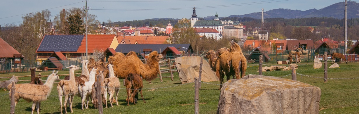 FARMA WENET - rodinná minizoo s panoramatickým výhledem