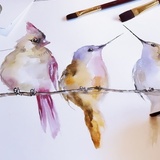 Certifikovali jsme nové regionální výrobky