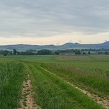 Na výsadbu padesáti ovocných stromů pod Ostašem přispějí místní firmy a obec