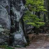 Komentované prohlídky Adršpašských skal s geoprůvodcem