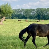 Natáčíme druhou vlnu promo videí k projektu Na vlně