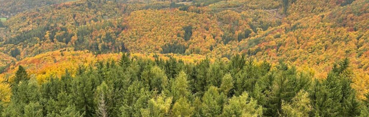 Rallye do Kladska Góra u příležitosti Dne národní nezávislosti