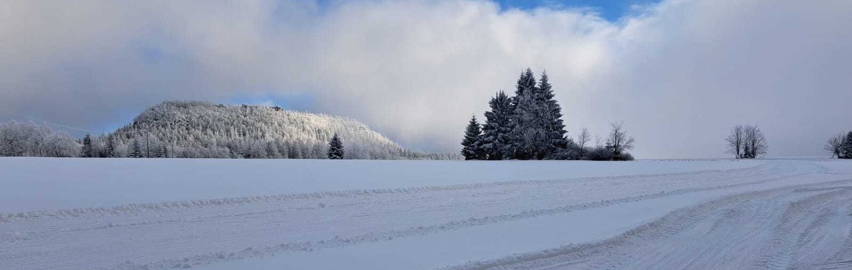 První sníh je tady! Na Machovsku už se běžkuje