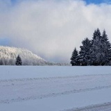 První sníh je tady! Na Machovsku už se běžkuje