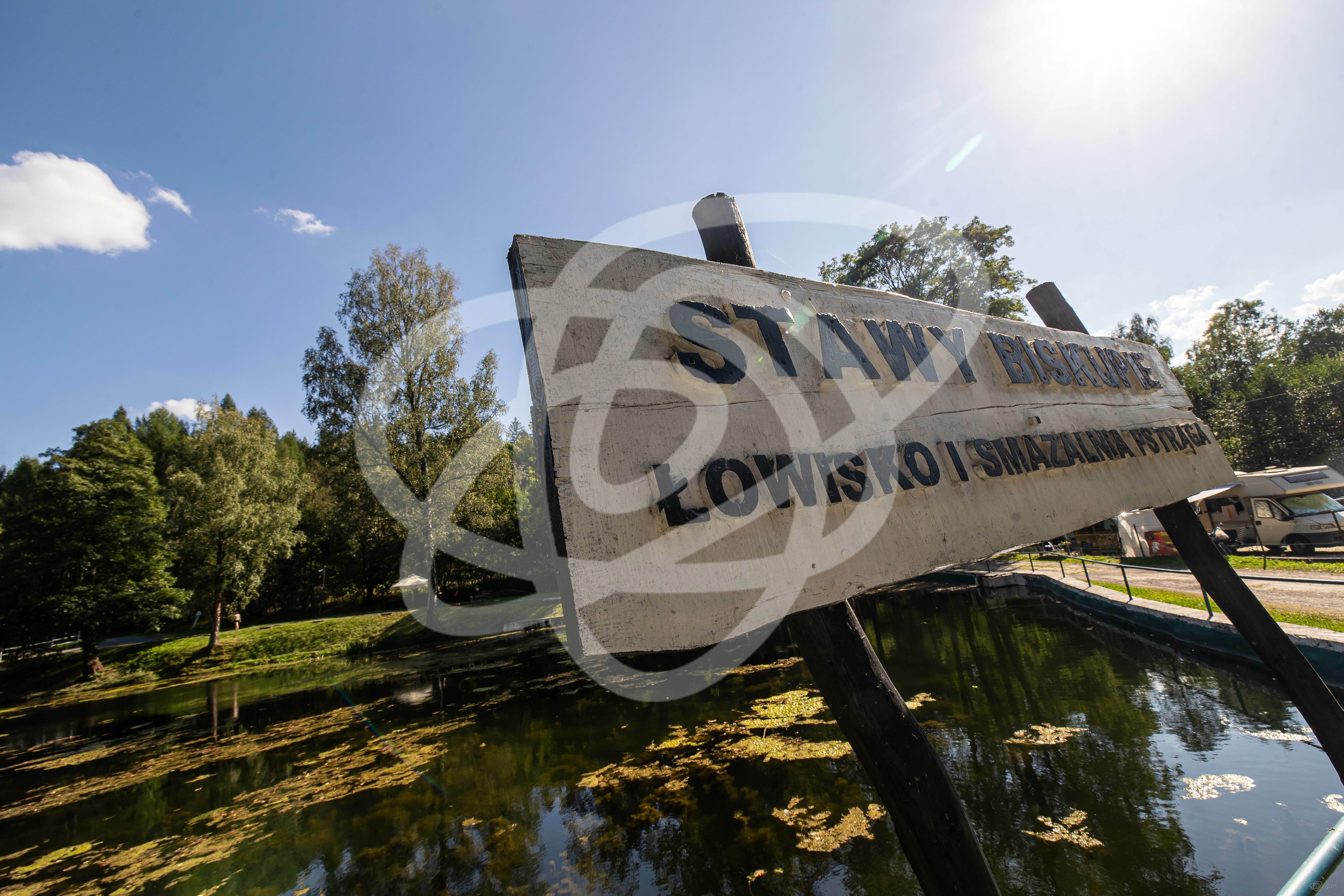 Łowisko pstrąga np. Sudeckie Chaty Kudowa – Czermna
