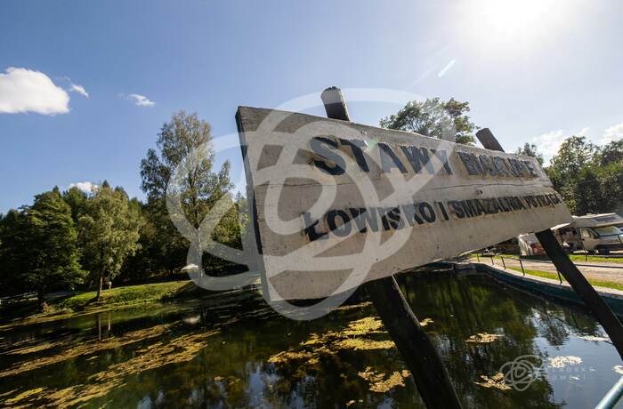 Łowisko pstrąga np. Sudeckie Chaty Kudowa – Czermna